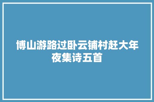 博山游路过卧云铺村赶大年夜集诗五首