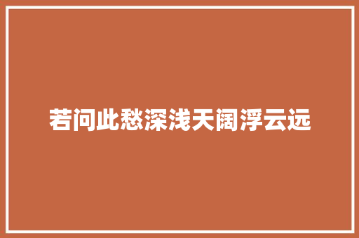 若问此愁深浅天阔浮云远