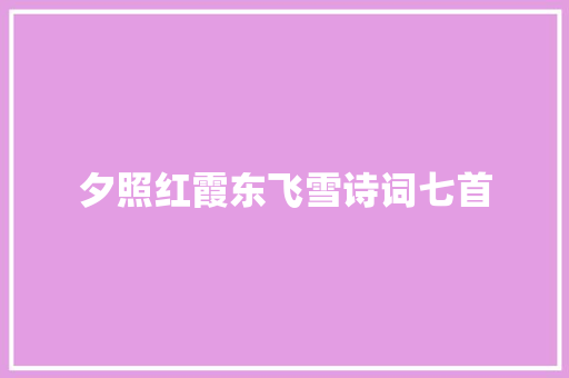 夕照红霞东飞雪诗词七首