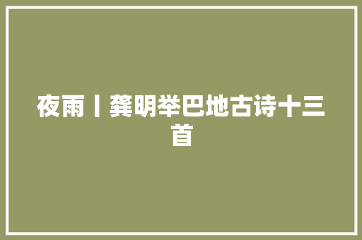 夜雨丨龚明举巴地古诗十三首