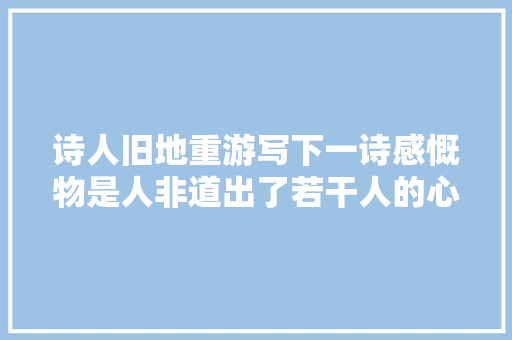 诗人旧地重游写下一诗感慨物是人非道出了若干人的心声