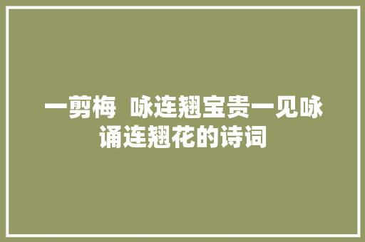 一剪梅  咏连翘宝贵一见咏诵连翘花的诗词