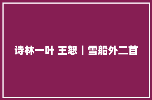 诗林一叶 王恕｜雪船外二首