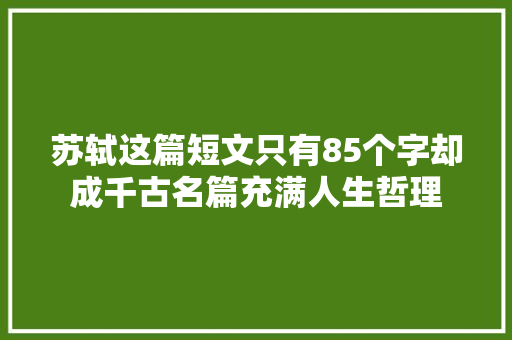 苏轼这篇短文只有85个字却成千古名篇充满人生哲理