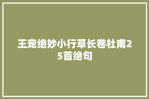 王宠绝妙小行草长卷杜甫25首绝句