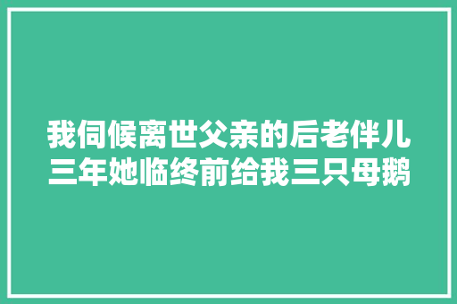 我伺候离世父亲的后老伴儿三年她临终前给我三只母鹅吓傻了我