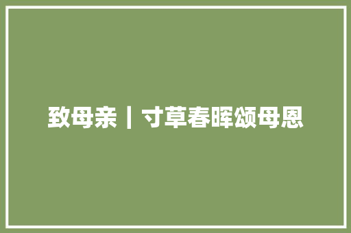 致母亲｜寸草春晖颂母恩