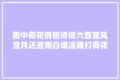 雨中荷花俏丽诗词六首宜风宜月还宜雨白堤凉雨打荷花