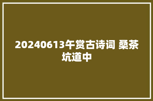 20240613午赏古诗词 桑茶坑道中