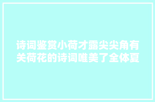 诗词鉴赏小荷才露尖尖角有关荷花的诗词唯美了全体夏天