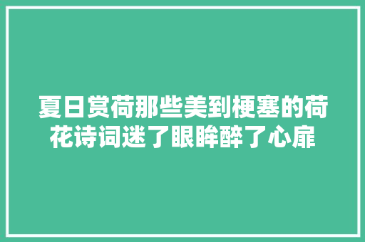 夏日赏荷那些美到梗塞的荷花诗词迷了眼眸醉了心扉