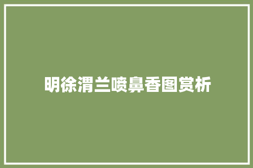 明徐渭兰喷鼻香图赏析