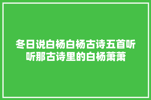冬日说白杨白杨古诗五首听听那古诗里的白杨萧萧