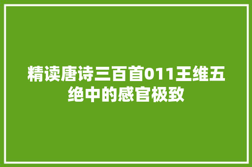 精读唐诗三百首011王维五绝中的感官极致