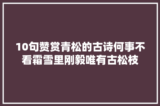 10句赞赏青松的古诗何事不看霜雪里刚毅唯有古松枝