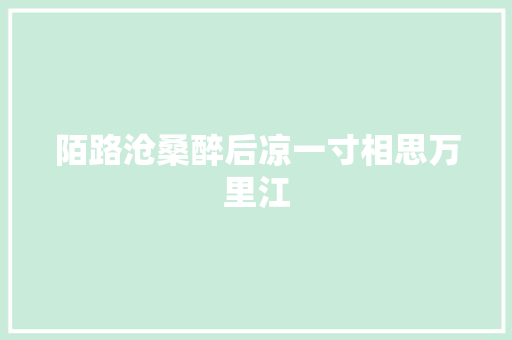 陌路沧桑醉后凉一寸相思万里江