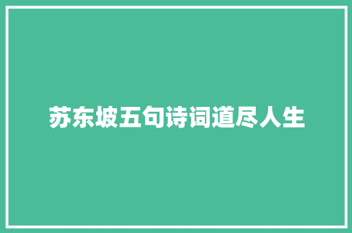 苏东坡五句诗词道尽人生