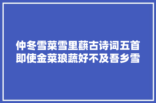仲冬雪菜雪里蕻古诗词五首即使金菜琅蔬好不及吾乡雪里蕻