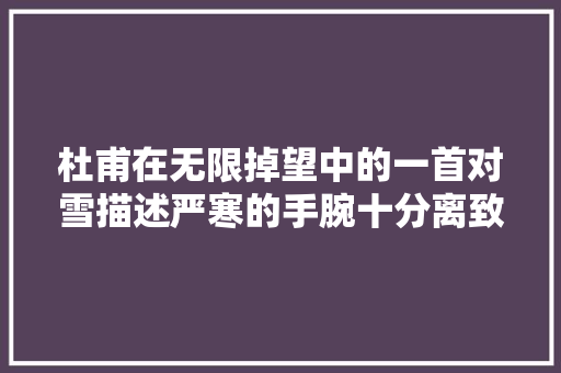 杜甫在无限掉望中的一首对雪描述严寒的手腕十分离致