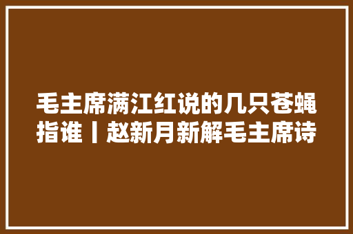 毛主席满江红说的几只苍蝇指谁丨赵新月新解毛主席诗词