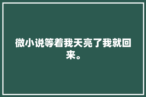 微小说等着我天亮了我就回来。