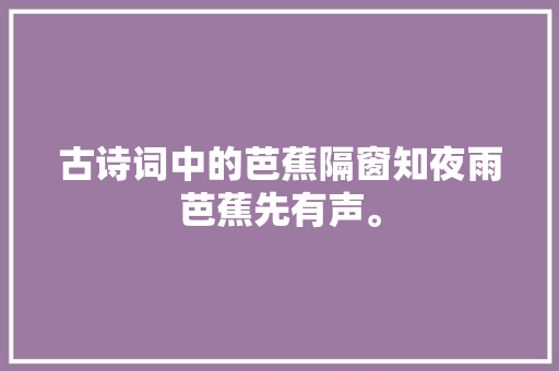 古诗词中的芭蕉隔窗知夜雨芭蕉先有声。