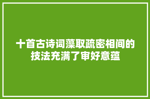 十首古诗词藻取疏密相间的技法充满了审好意蕴