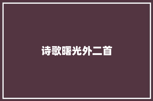 诗歌曙光外二首