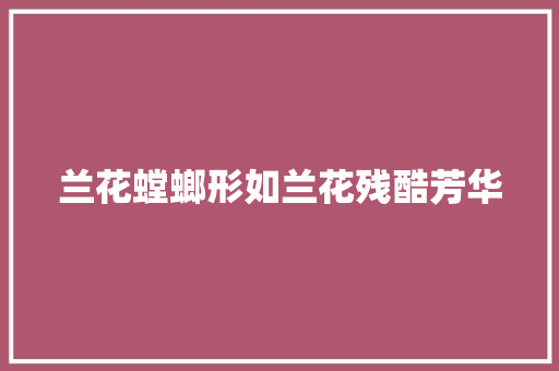 兰花螳螂形如兰花残酷芳华