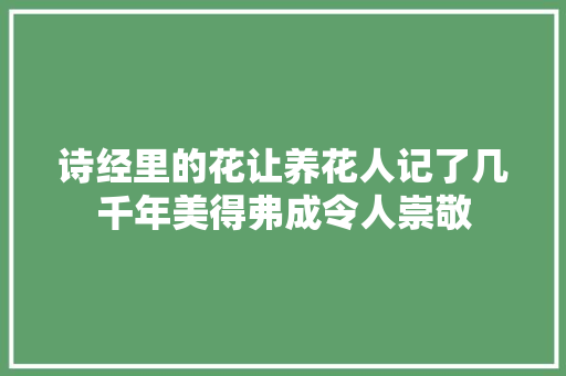 诗经里的花让养花人记了几千年美得弗成令人崇敬