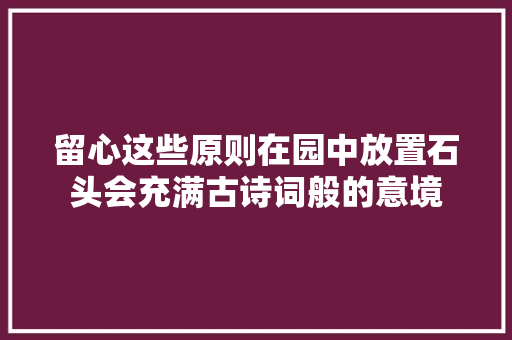 留心这些原则在园中放置石头会充满古诗词般的意境