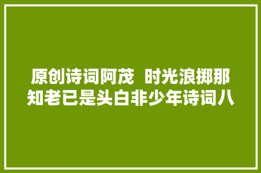 原创诗词阿茂  时光浪掷那知老已是头白非少年诗词八首