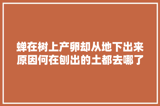 蝉在树上产卵却从地下出来原因何在刨出的土都去哪了
