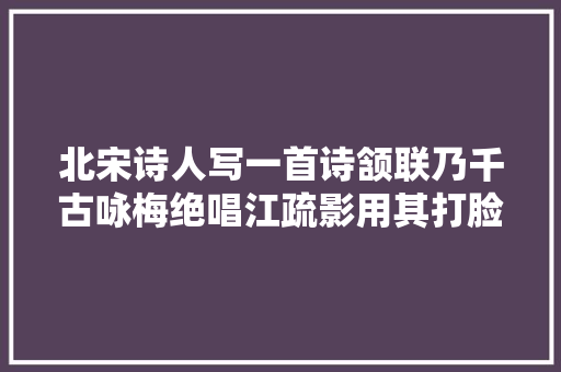 北宋诗人写一首诗颔联乃千古咏梅绝唱江疏影用其打脸韩国网友