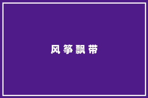 风 筝 飘 带