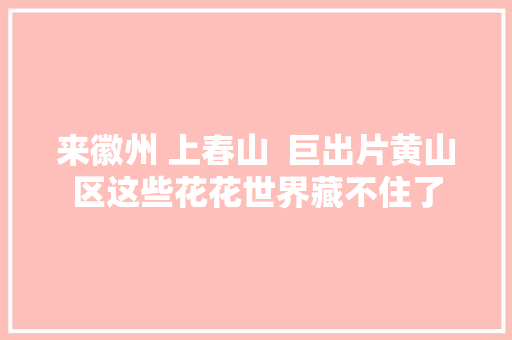 来徽州 上春山  巨出片黄山区这些花花世界藏不住了