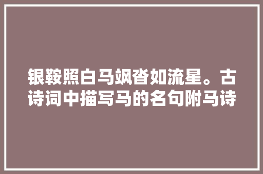 银鞍照白马飒沓如流星。古诗词中描写马的名句附马诗23首