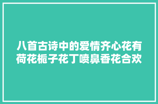 八首古诗中的爱情齐心花有荷花栀子花丁喷鼻香花合欢还有什么花