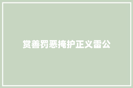 赏善罚恶掩护正义雷公