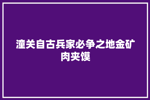 潼关自古兵家必争之地金矿肉夹馍