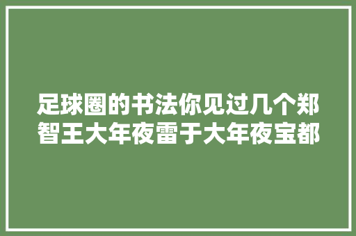 足球圈的书法你见过几个郑智王大年夜雷于大年夜宝都不及徐根宝