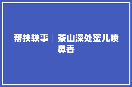 帮扶轶事│茶山深处蜜儿喷鼻香