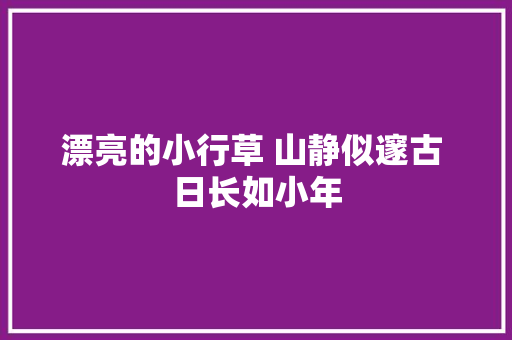 漂亮的小行草 山静似邃古 日长如小年