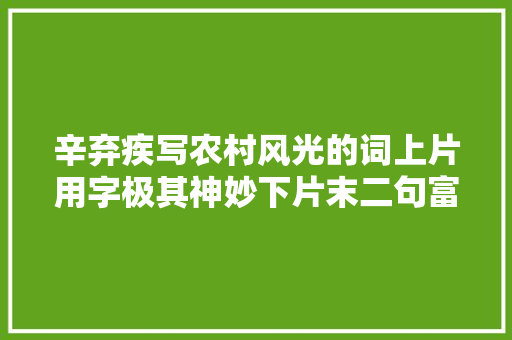 辛弃疾写农村风光的词上片用字极其神妙下片末二句富含哲理