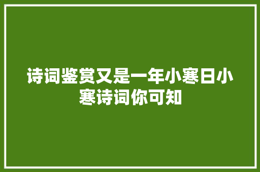 诗词鉴赏又是一年小寒日小寒诗词你可知