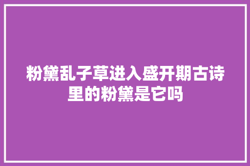 粉黛乱子草进入盛开期古诗里的粉黛是它吗