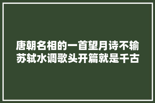 唐朝名相的一首望月诗不输苏轼水调歌头开篇就是千古名句