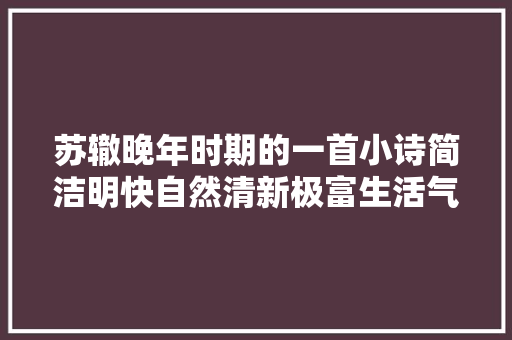 苏辙晚年时期的一首小诗简洁明快自然清新极富生活气息