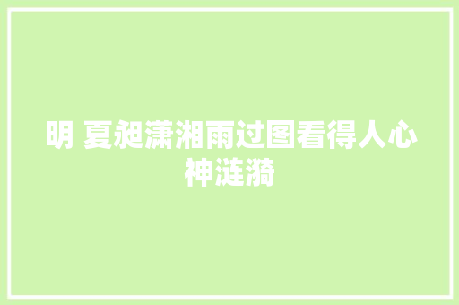 明 夏昶潇湘雨过图看得人心神涟漪