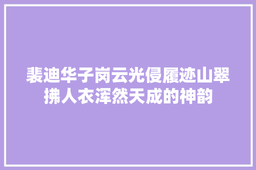 裴迪华子岗云光侵履迹山翠拂人衣浑然天成的神韵